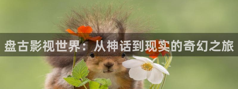 全能影视app官网