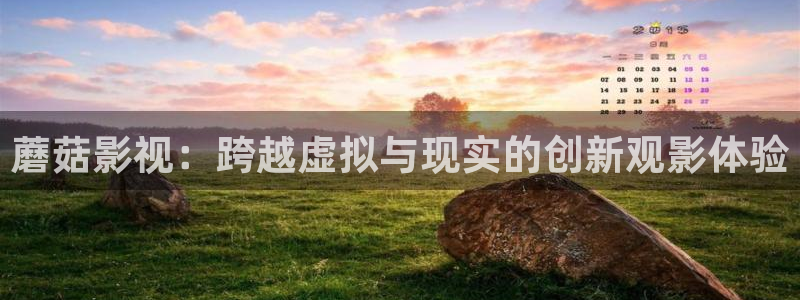 全能影视免费大全下载