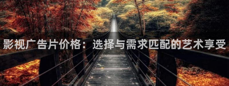 全能的影视