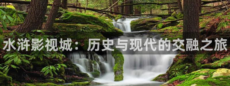 全能影视,