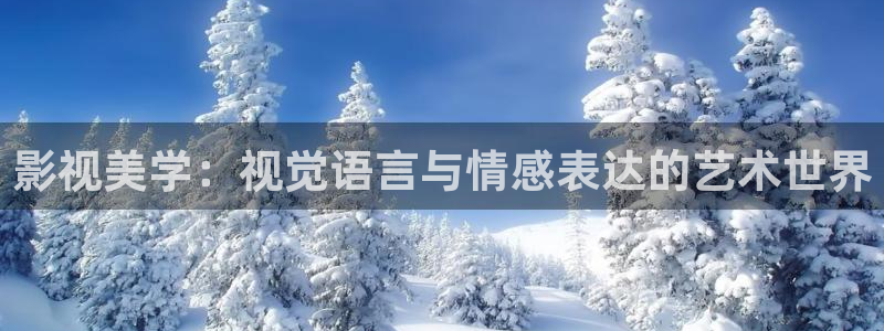 全能影视免费观看官网