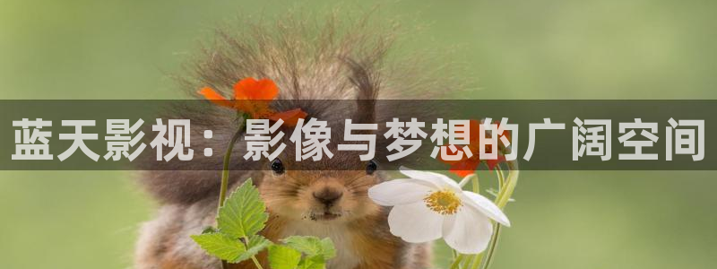 全能影视免费观看官网