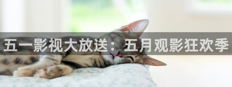 全能影视免费在线观看