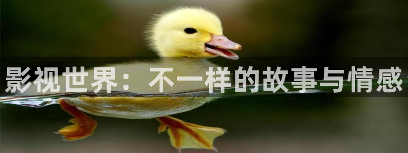 全能影视看电视剧