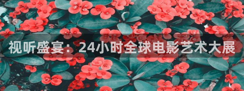 全能影视官网